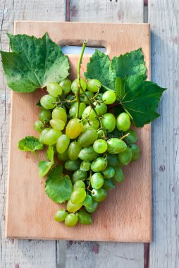 taze yeşil üzüm