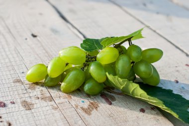 taze yeşil üzüm
