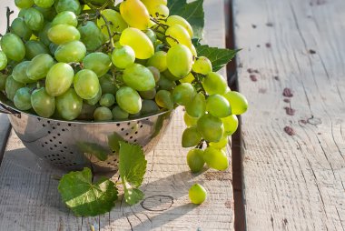 taze yeşil üzüm