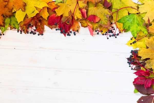 Hojas de otoño fondo de madera con amarillo, verde y burdeos —  Fotos de Stock