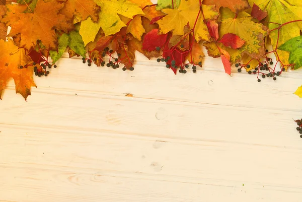 Hojas de otoño fondo de madera con amarillo, verde y burdeos —  Fotos de Stock