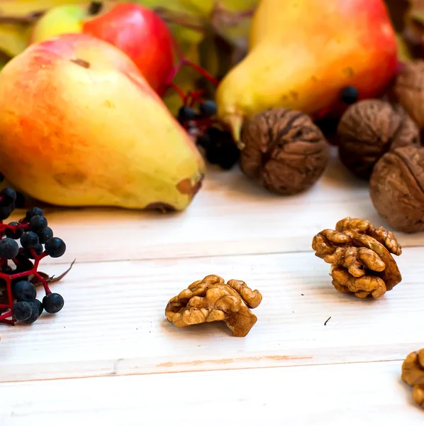 Oogst - noten, appels, peren — Stockfoto