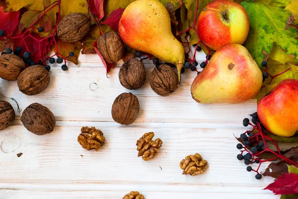 Cosecha - frutos secos, manzanas, peras —  Fotos de Stock