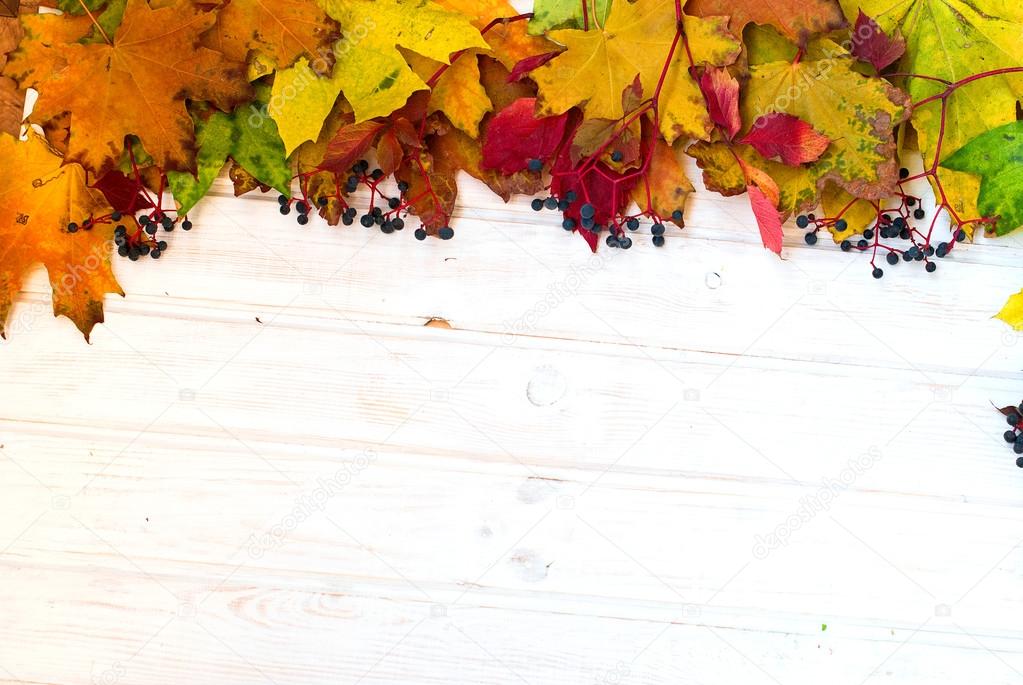 autumn leaves wooden background with yellow, green and burgundy