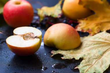 Autumn still life. apples and leaves in the rain
