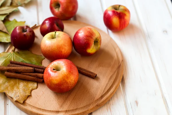 Äpplen hösten sorter och nedfallna löv på träden — Stockfoto