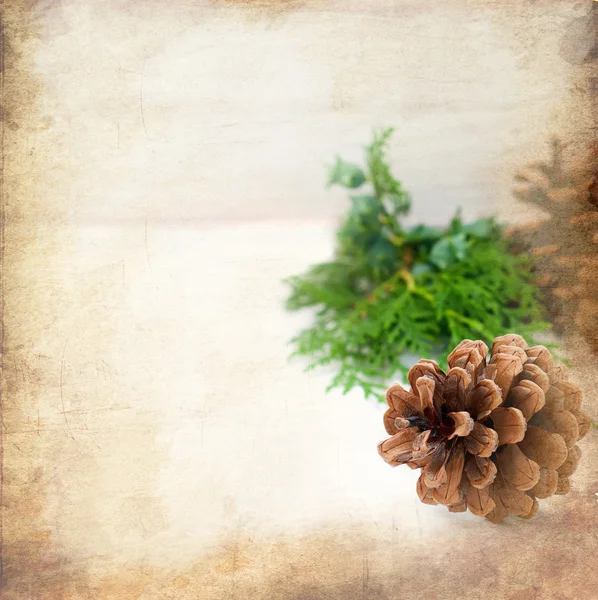 Cartão de Natal com pinhas e ramos de abeto — Fotografia de Stock