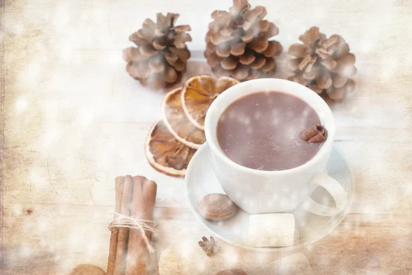 Cocoa drink with marshmellows — Stock Photo, Image