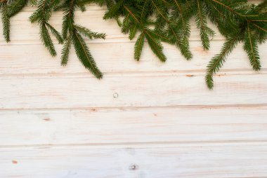 ağaç dalları panosunda eski ahşap beyaz