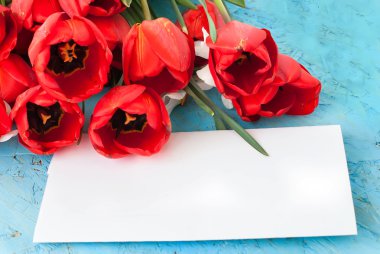 Güzel kırmızı lale ve kart