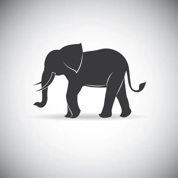 Silhouette Elefanten - Vektor eps10 — Stockvektor