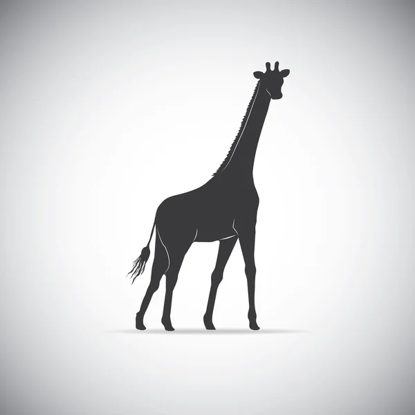 Silhouette di una giraffa - Vettore EPS10 — Vettoriale Stock