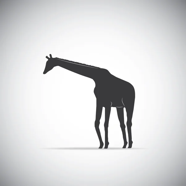 Silhouet van een giraffe - Vector Eps10 — Stockvector