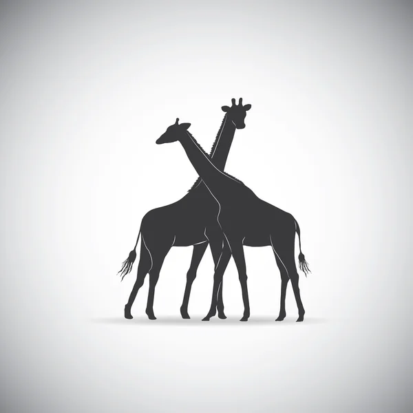 Silueta vectorial de pareja jirafa — Vector de stock