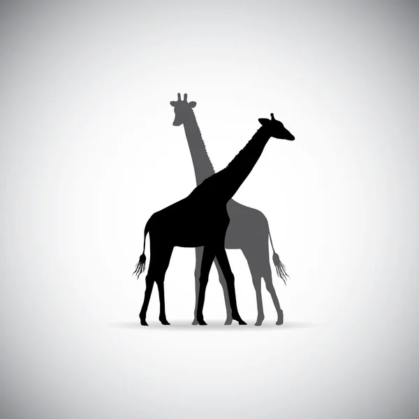 Silhouette vectorielle du couple Girafe — Image vectorielle