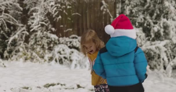 Молодая женщина веселится и танцует с детьми в снежном парке 4k Стоковый Видеоролик