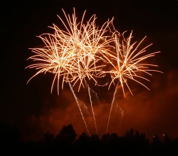 Firework — Stock Photo, Image