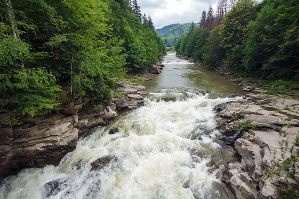 Schneller Gebirgsfluss im Wald lizenzfreie Stockfotos