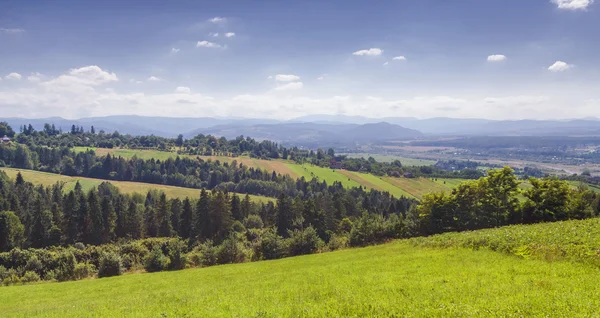 Carpathian mountains summer afternoon landscape — Stock Photo, Image