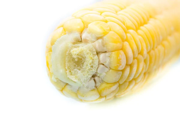 Macro vista de mazorca de maíz congelada. Primer plano. . — Foto de Stock