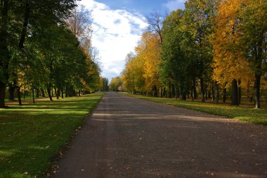 Sonbahar parkına giden yol