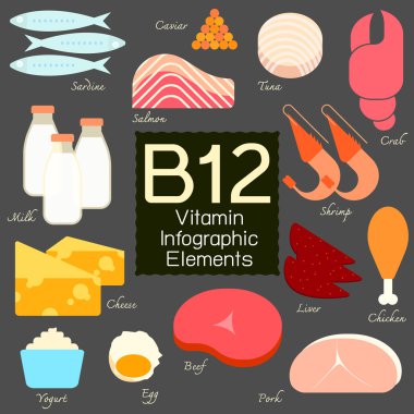 B12 vitamini Infographic öğesi.