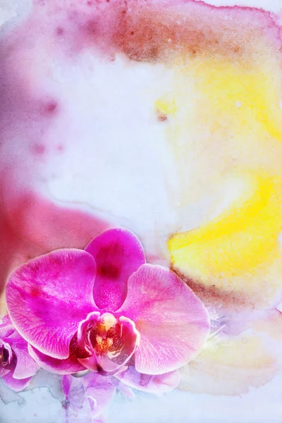 Çiçeği phalaenopsis orkide soyut suluboya çizimi.