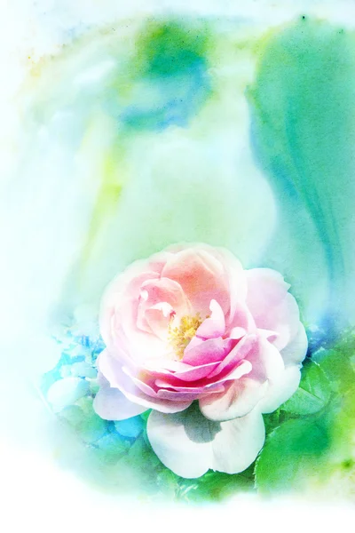 Flower watercolor illustration. — Stock Photo, Image