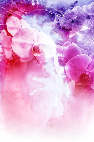 Квітка аквареллю ілюстрація . — стокове фото