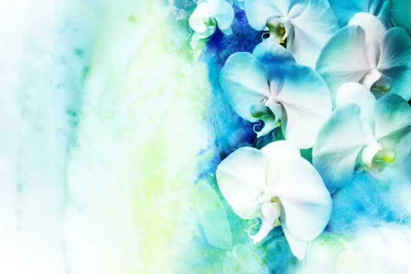 Illustration aquarelle fleur . — Photo