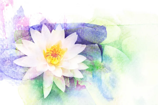 Illustration aquarelle fleur de lotus . — Photo