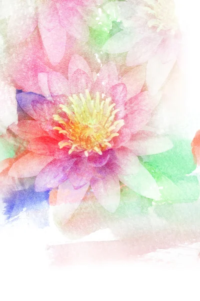 Flower watercolor illustration. — Stock Photo, Image