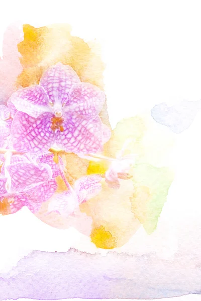 Abstract watercolor illustration of blossom orchid. — Stock Photo, Image