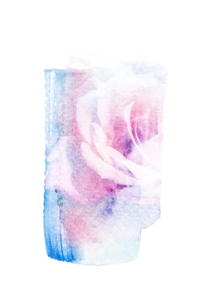 Flower watercolor illustration. — Stock Photo, Image