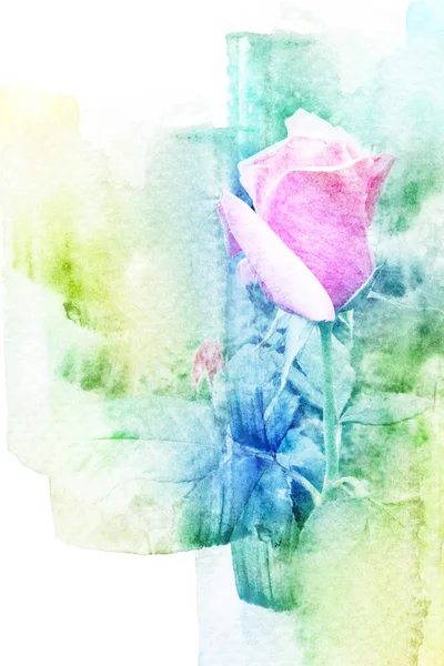 Blomma akvarell illustration. — Stockfoto