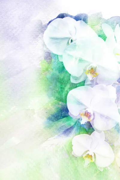 Çiçeği orkide soyut suluboya çizimi. — Stok fotoğraf