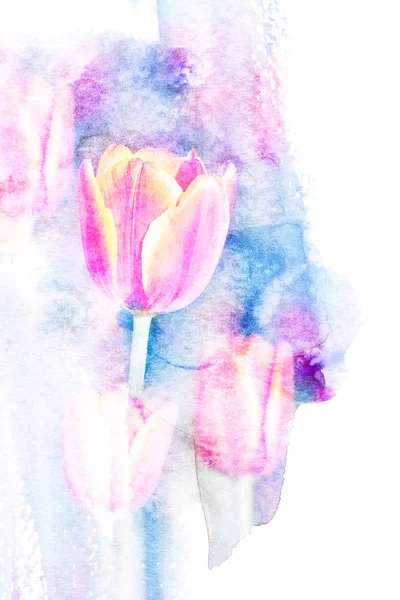 Illustration aquarelle fleur . — Photo