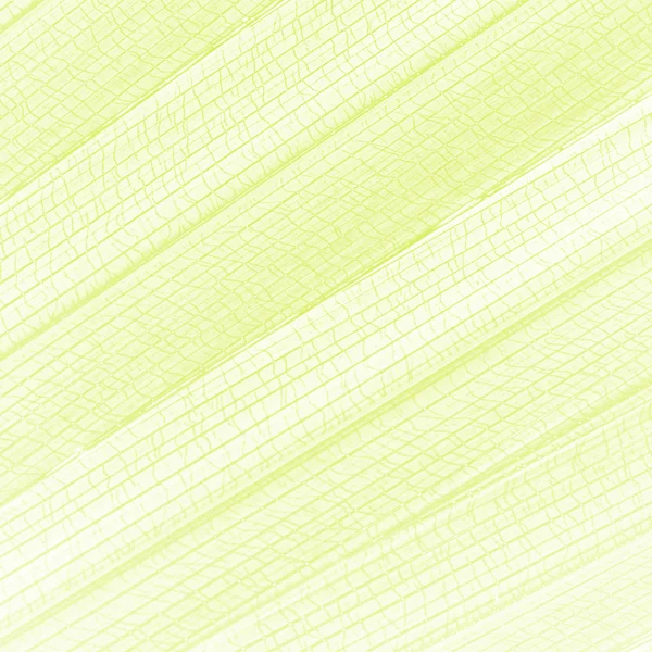 Abstrakter, kreativer Hintergrund des Palmblattmusters. — Stockfoto