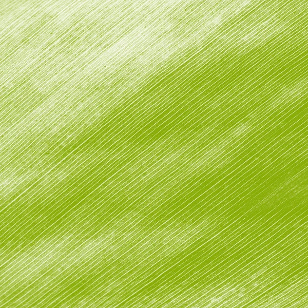 Abstract creative background of palm leaf pattern. — Stock Photo, Image