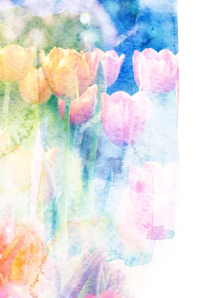 Bloem aquarel illustratie. — Stockfoto