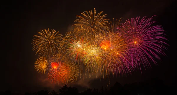 Fuegos artificiales — Foto de Stock