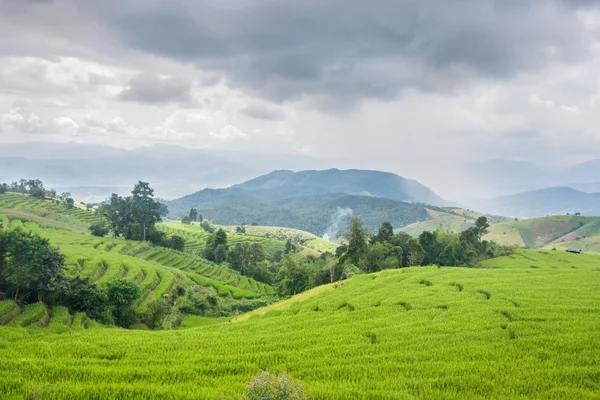 Красива зелена рисова тераса з дощовою хмарою та горою . — стокове фото
