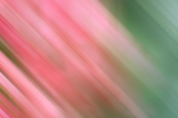 핑크와 녹색 추상적인 배경. — 스톡 사진
