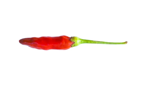 Red hot chilli pepper. — Stock Photo, Image