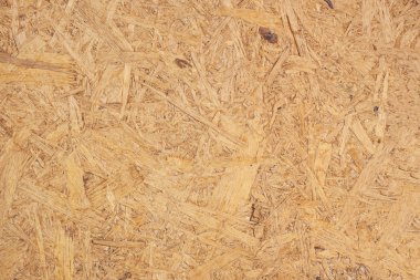 Portre desen kontrplak doku.