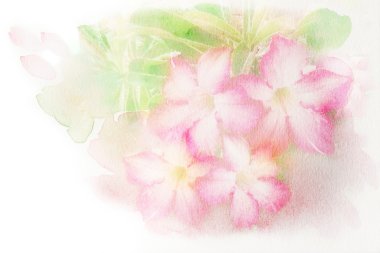 Çiçek (çöl gülü, Impala Lily, alay Azalea) suluboya resim.