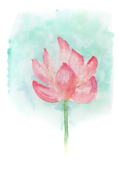 Watercolor of lotus flower. — Stock Photo, Image