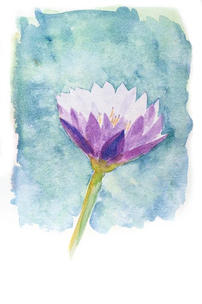 Watercolor of lotus flower. — Stock Photo, Image