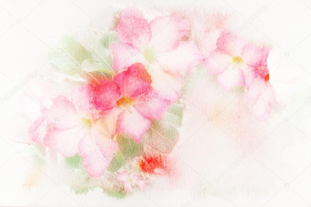 Flower (Desert Rose, Impala Lily, Mock Azalea) watercolor illustration.