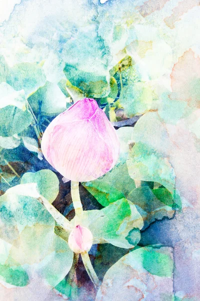 Flower watercolor illustration. — Stock Photo, Image